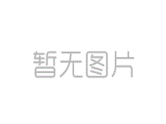 ZXSL-II-ZXSL-II纵向撕裂开关-撕裂检测器全网优惠价