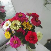 NKPK-12-30跑偏开关饲料厂跑偏开关生产