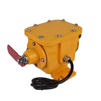 250V纵向撕裂检测器8LS3-J、380V3A纵向撕裂开关DB-100生产厂家 250V纵向撕裂检测器8LS3-J、380V3A纵向撕裂开关DB-100生产厂家